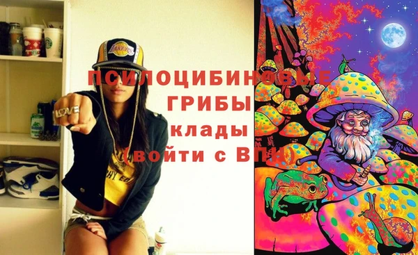 шишки Алзамай