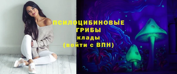 дурь Алексеевка