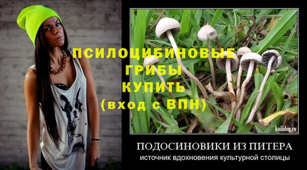 дурь Алексеевка