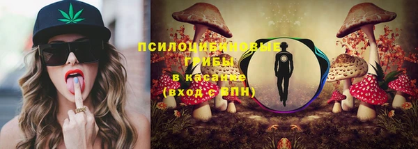 шишки Алзамай
